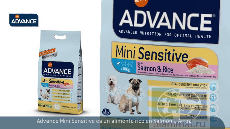 Advance корм для собак малых пород с чувствительным пищеварением: лосось и рис Mini Sensitive, 7,5 кг
