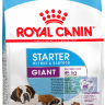 RC Giant starter корм для собак очень крупных размеров (вес взрослой собаки более 45 кг) в конце беременности и в период лактации, а также для щенков в возрасте до 2 месяцев, 15 кг