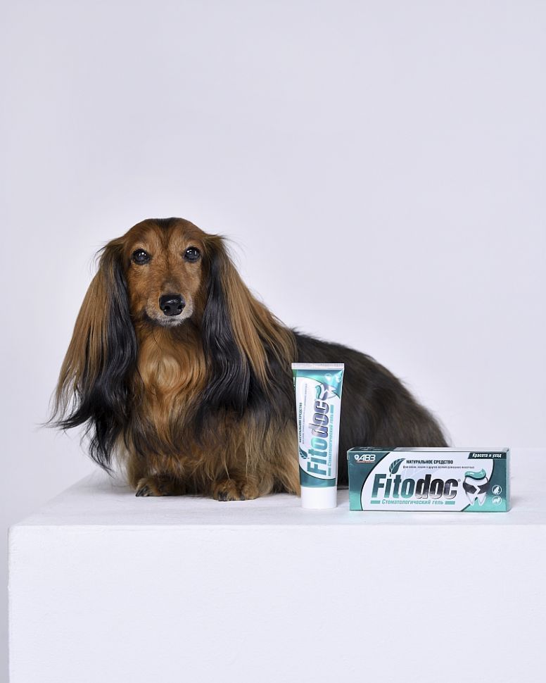 АВЗ: Fitodoc стоматологический гель, для собак и кошек, 75 мл