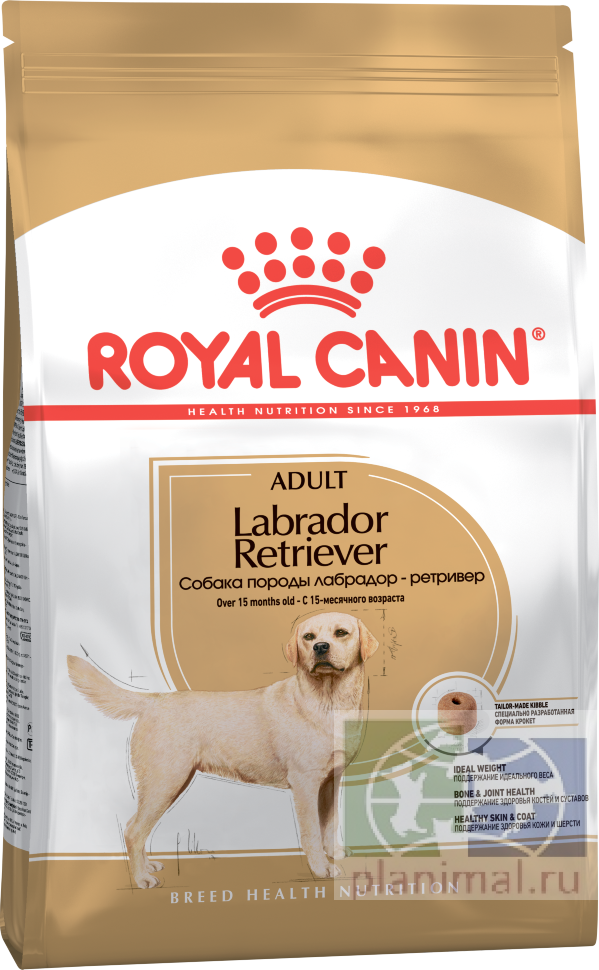 RC Labrador Retriever Adult Корм для Лабрадоров старше 15 месяцев, 3 кг