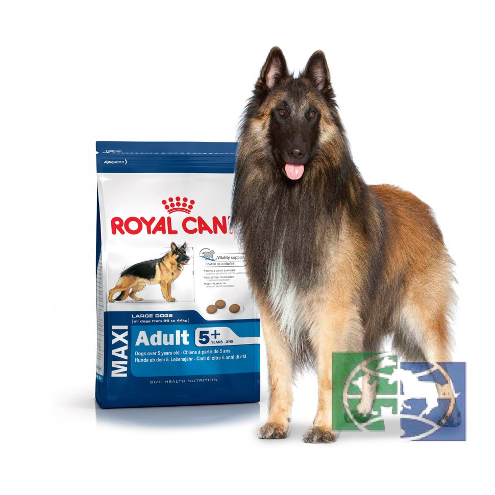 RC Maxi adult 5+, корм д/крупных стареющих собак 5-8 лет, 15 кг