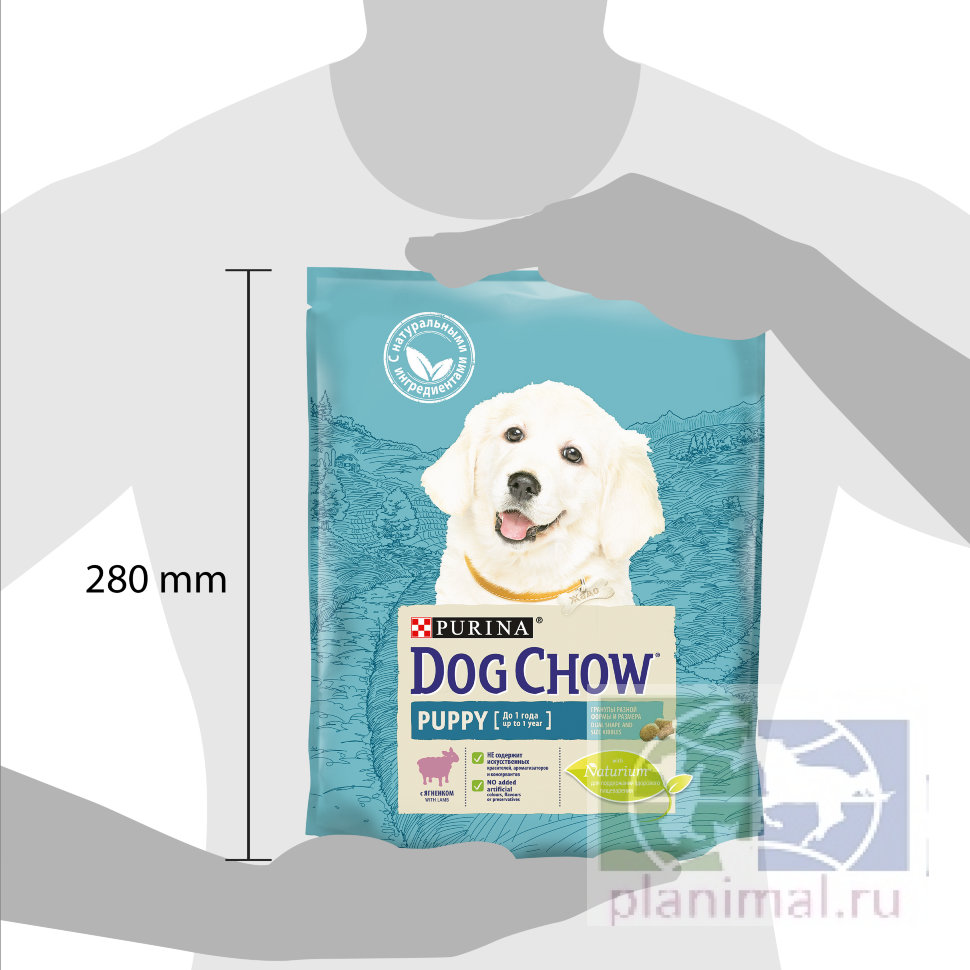 Сухой корм Purina Dog Chow для щенков всех пород, ягнёнок, пакет, 0,8 кг