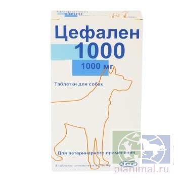 Icf: Цефален 1000, 1000 мг табл. д/собак, 8 шт./уп.