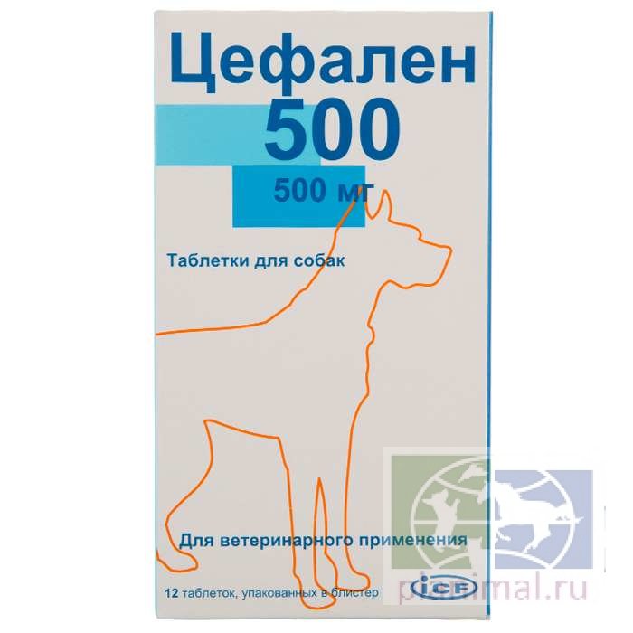 Icf: Цефален 500, 500 мг табл. д/собак, 12 шт./уп.