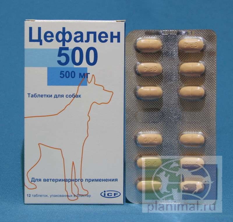 Icf: Цефален 500, 500 мг табл. д/собак, 12 шт./уп.