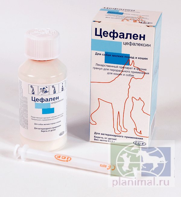 Icf: Цефален, цефалексин для мелких пород собак и кошек, пероральные гранулы, 63,5 гр.