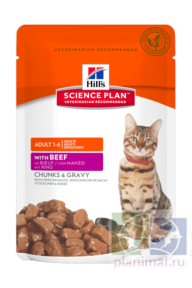 Hills Adult Cat Rind пауч для взрослых кошек с говядиной в соусе, 85 гр