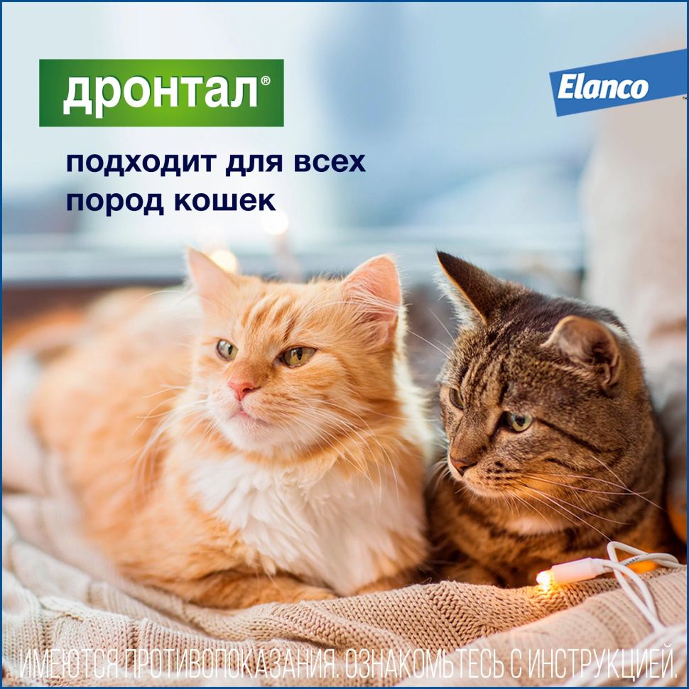 Elanco: Дронтал, антигельминтик для кошек, пирантел, празиквантел, 2 таблетки