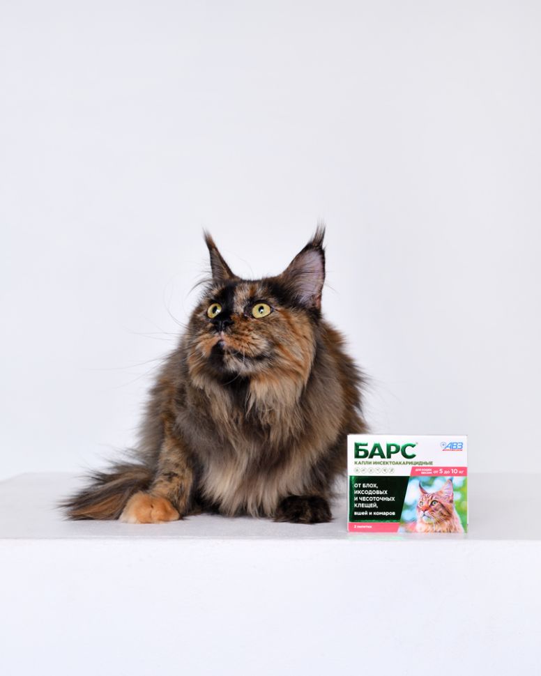 АВЗ: Барс капли инсектоакарицидные для кошек 5 до 10 кг, 2 пипетки, 0,5 мл