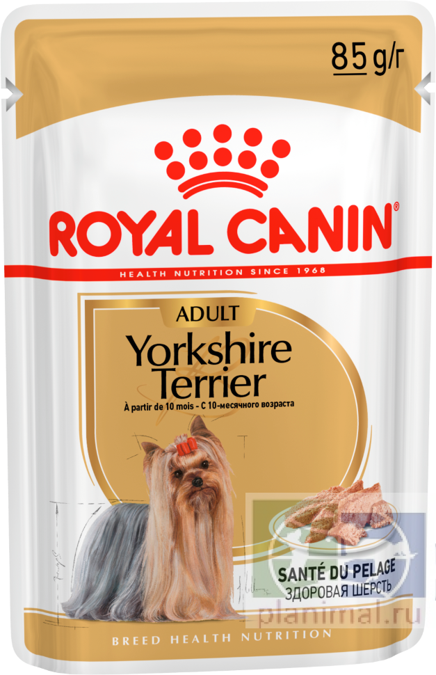 RC Yorkshire Terrier Adult (паштет), Влажный корм для собак породы йоркширский терьер с 10 месяцев, 85 гр.