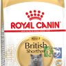 RC British Shorthair 34 корм для британских короткошерстных кошек старше 12 месяцев, 0,4 кг
