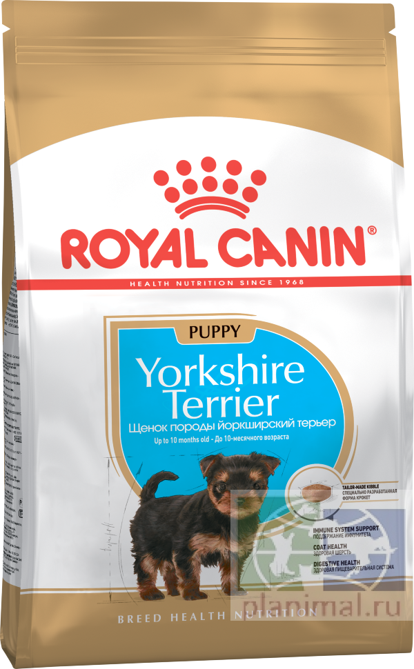 RC Yorkshire Terrier Junior Корм для щенков породы йоркширский терьер в возрасте до 10 месяцев, 1,5 кг