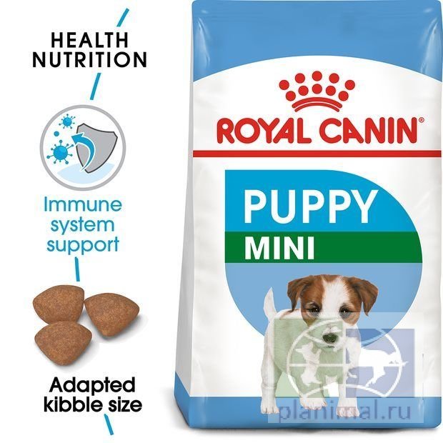 RC Mini Puppy корм для щенков собак мелких размеров (вес взрослой собаки от 4 до 10 кг) в возрасте с 2 до 10 месяцев, 2 кг