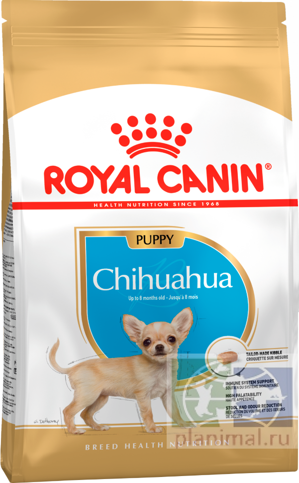 RC Chihuahua Junior корм для щенков породы Чихуахуа до 8 месяцев, 1,5 кг