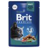 Brit: Premium, Пауч для взрослых кошек, Утка в соусе, 85 гр.