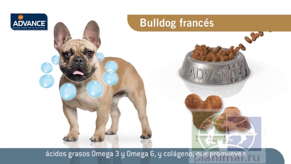 Advance корм для французских бульдогов French Bulldog, 7,5 кг