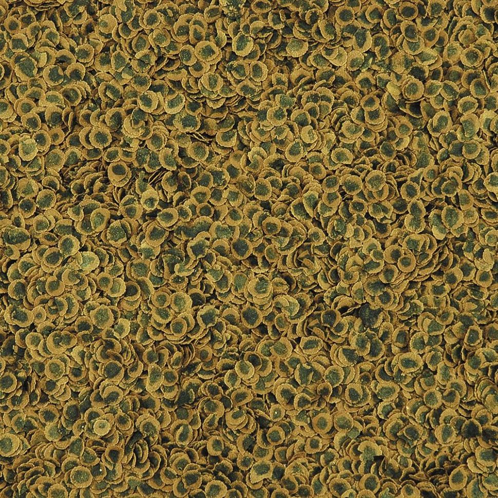 Tetra Pro Algae Crisps, чипсы со спирулиной для растительноядных рыб, 12 гр.