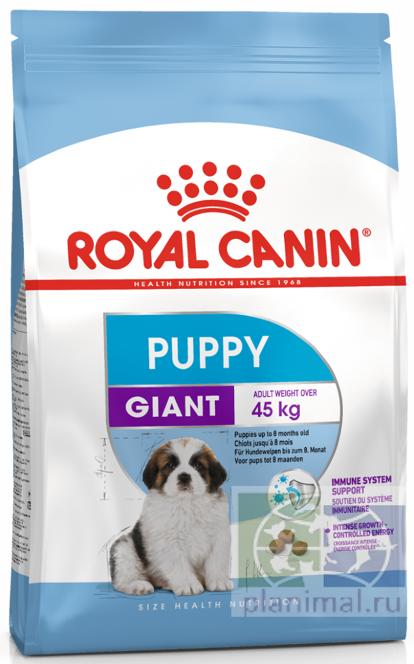 RC Giant Puppy сухой корм для щенков собак очень крупных размеров (вес взрослой собаки более 45 кг) в возрасте с 2 до 8 месяцев, 3,5 кг