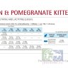 Farmina N&D Cat Chicken & Pomegranate Kitten Курица и гранат корм для котят, 0,3 кг