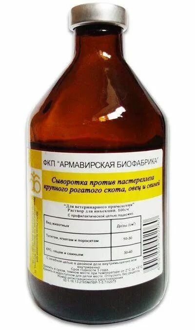Армавир: Сыворотка против пастереллеза КРС, овец и свиней (2 дозы), 100 мл