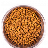 Monge: Cat сухой корм для котят, беременных и кормящих кошек, 1,5 кг