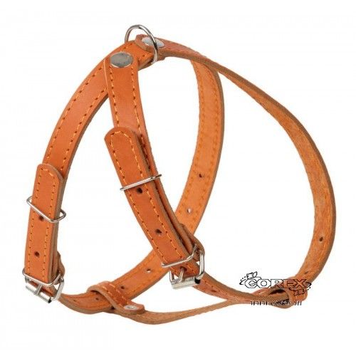 Corex: Шлейка для мелких пород собак, арт. 24007
