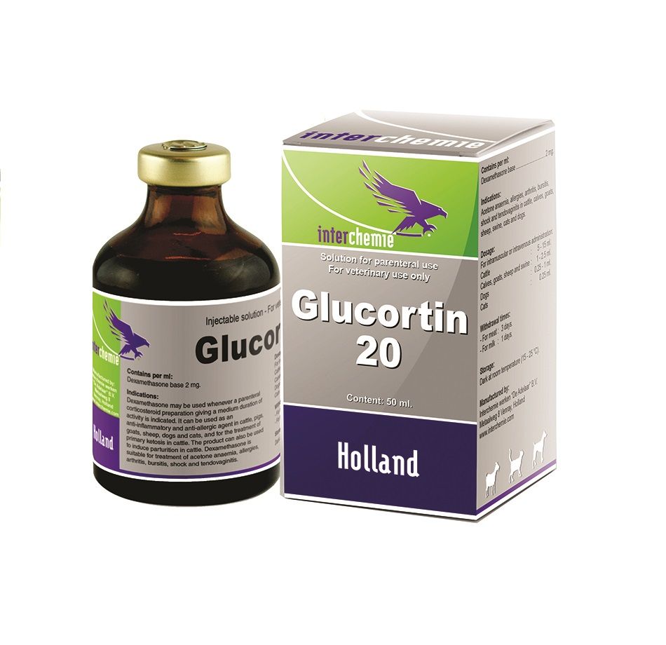 Interchemie: Глюкортин-20, раствор дексаметазона для парентерального применения, 50 мл