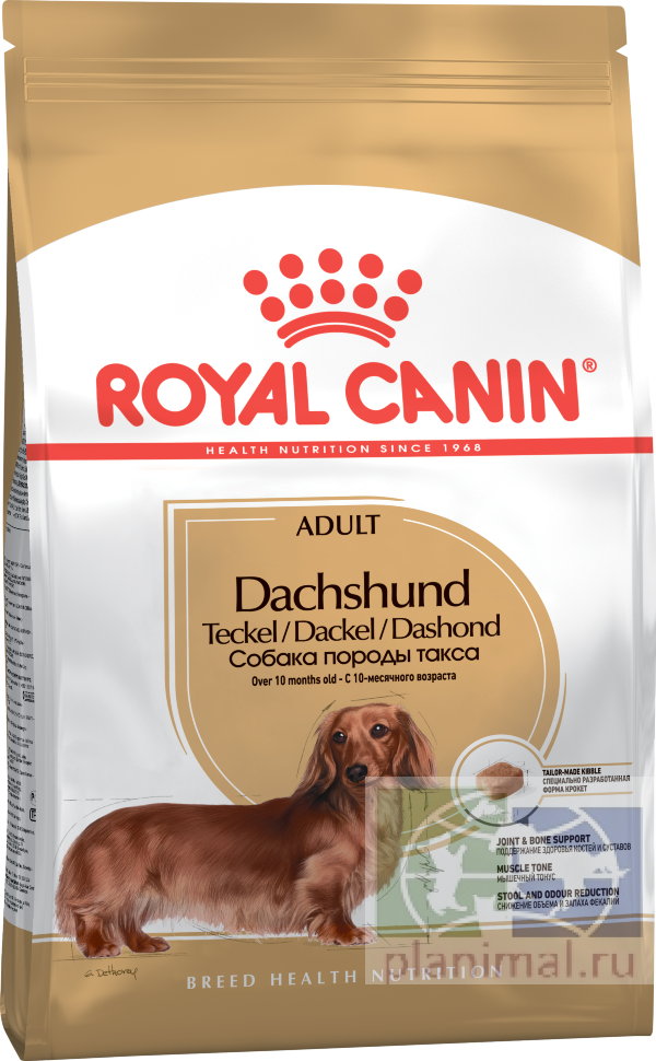 RC Dachshund Adult Корм для собак породы Такса старше 10 месяцев, 1,5 кг