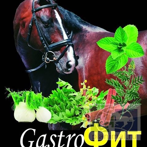 Дикий медведь: GastroFit / Гастрофит, 1 л., сироп от гастрита и язв желудка лошадей