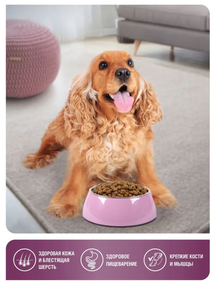 Zoogurman: Special line, Beef, Говядина, сухой корм, для взрослых собак, 2,5 кг