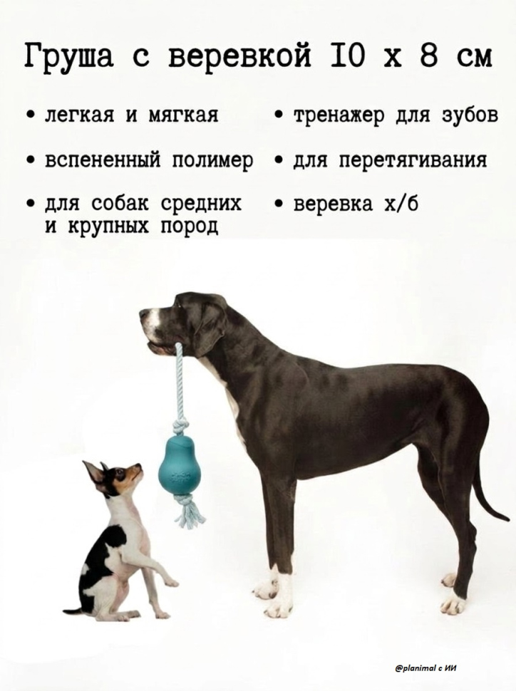 Gamma: Игрушка для собак Груша с веревкой,10*8 см, ПЭ и ЭВА, х/б, серия ГАВ ГАМЫЧ, 12192023