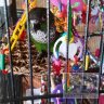 Super Bird:  Игрушка для волнистых и средних попугаев "Tutti Frutti"