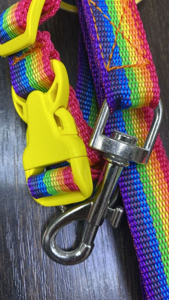 КОМПЛЕКТ ПОЛИПРОПИЛЕНОВЫЙ 20мм ПОВОДОК 2м + ОШЕЙНИК 35-52см (РАДУГА) 138/297