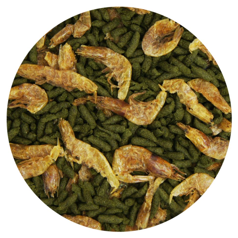 АкваМеню: ТЕРРАМИКС с креветкой, корм для водных черепах, 60 гр., 250 мл