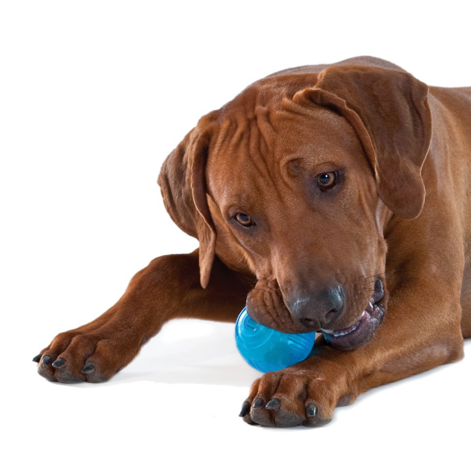 Petstages: игрушка для собак "ОРКА теннисный мяч" 6 см