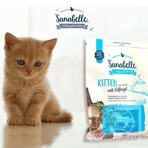 Sanabelle Kitten сухой корм для котят 10 кг