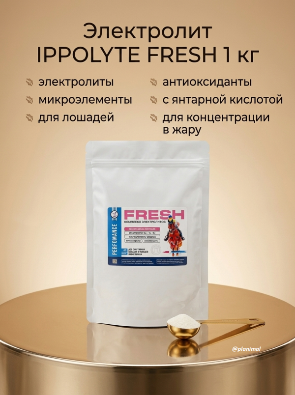 Пробио Электролит IPPOLYTE FRESH/Ипполайт Фреш с антиоксидантами и микроэлементами, эко-пак 1 кг