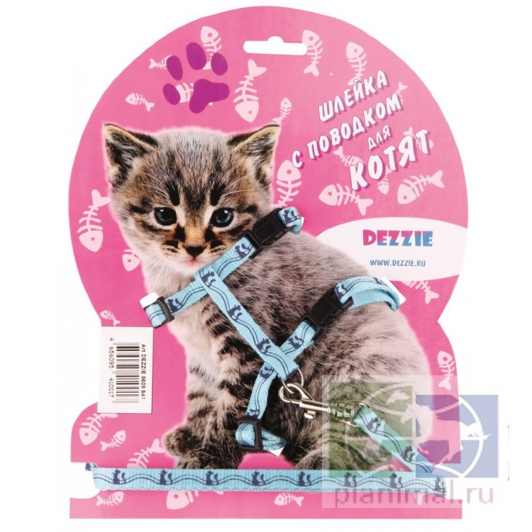 2 Кота Магазин