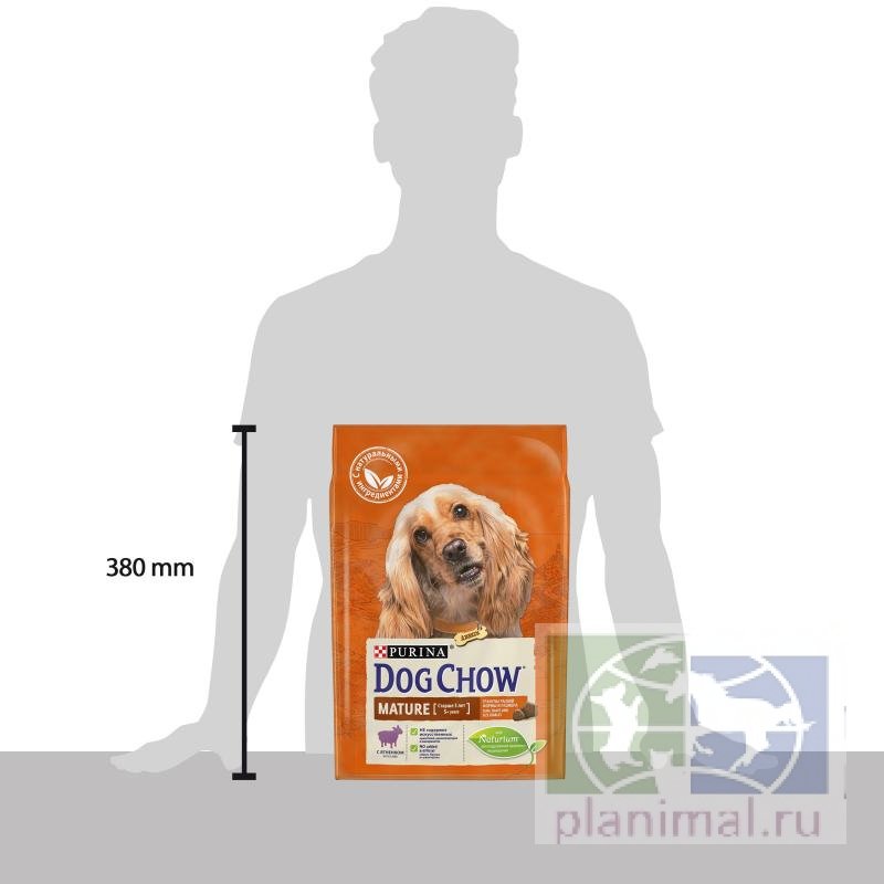 Сухой корм Purina Dog Chow Mature Adult для собак старше 5 лет, ягнёнок, пакет, 2,5 кг