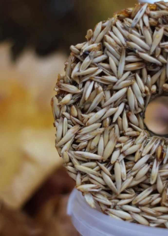 Horse-bio: Леденец Овсяный LuckyPro для лошадей, 700 гр.