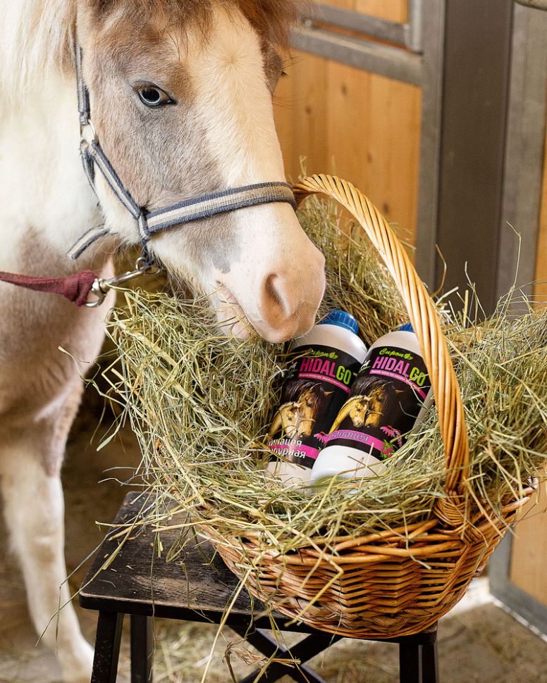Идальго: Сироп Эхинацеи пурпурной, 1 л.