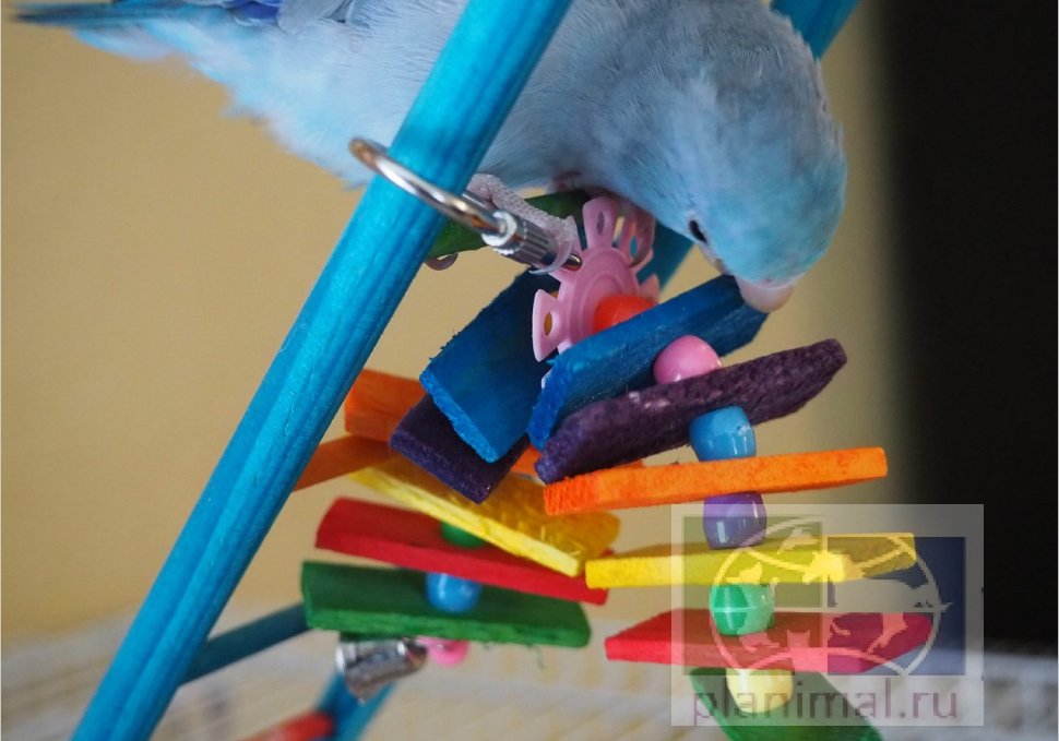 Super Bird:  Игрушка для волнистых попугаев "Sm. Balsa Rainbow"
