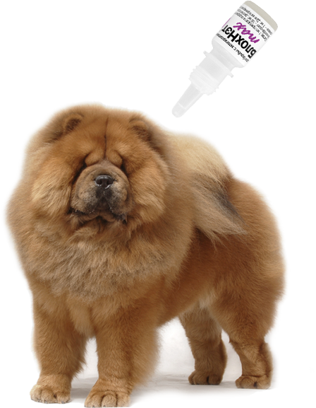 БлохНэт max: капли от блох, клещей, вшей, власоедов, для собак 20-30 кг, 3 мл