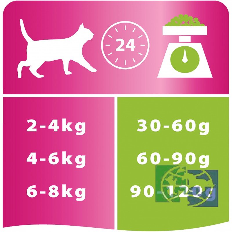 Сухой корм Purina Pro Plan Delicate для кошек с чувствительным пищеварением, ягненок,  400 гр.