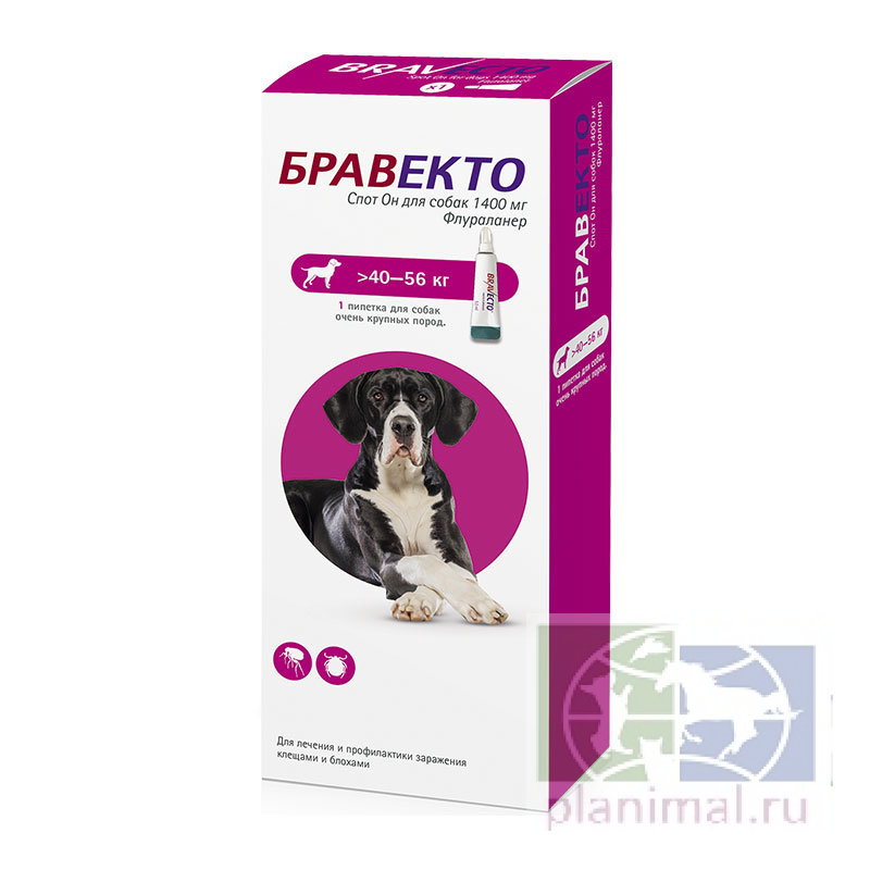 Бравекто спот Он для собак 1400 мг от блохи клещей, 1 пип. на 40-56 кг 