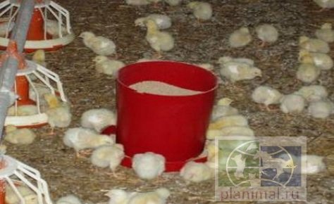 Мирагро: Кормушка для цыплят БКП, 10 л