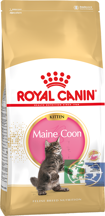 купить RC Kitten Maine Coon корм для котят породы мейн-кун 