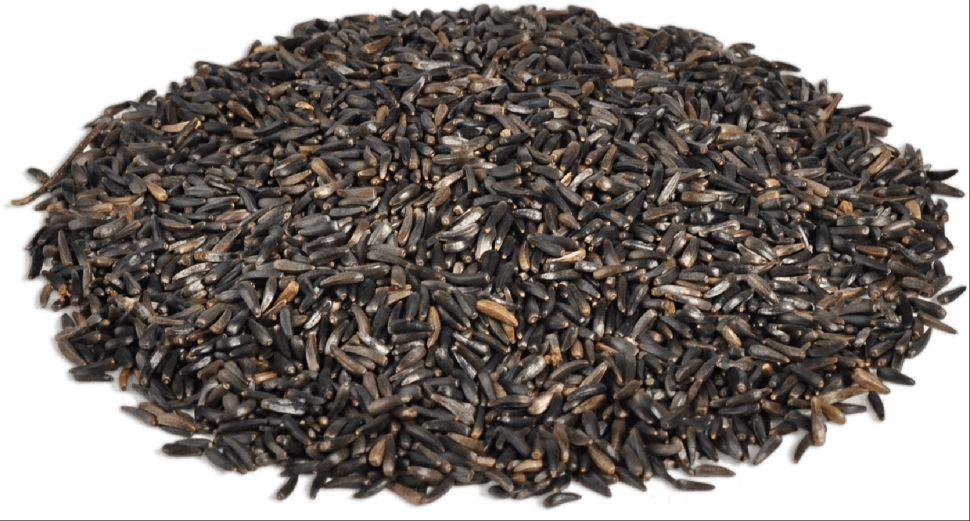 Рио: Абиссинский нуг, лакомство для всех видов птиц, 250 гр.