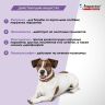 Экопром: Инспектор Квадро С капли от паразитов для собак 10-25 кг, 1 пипетка