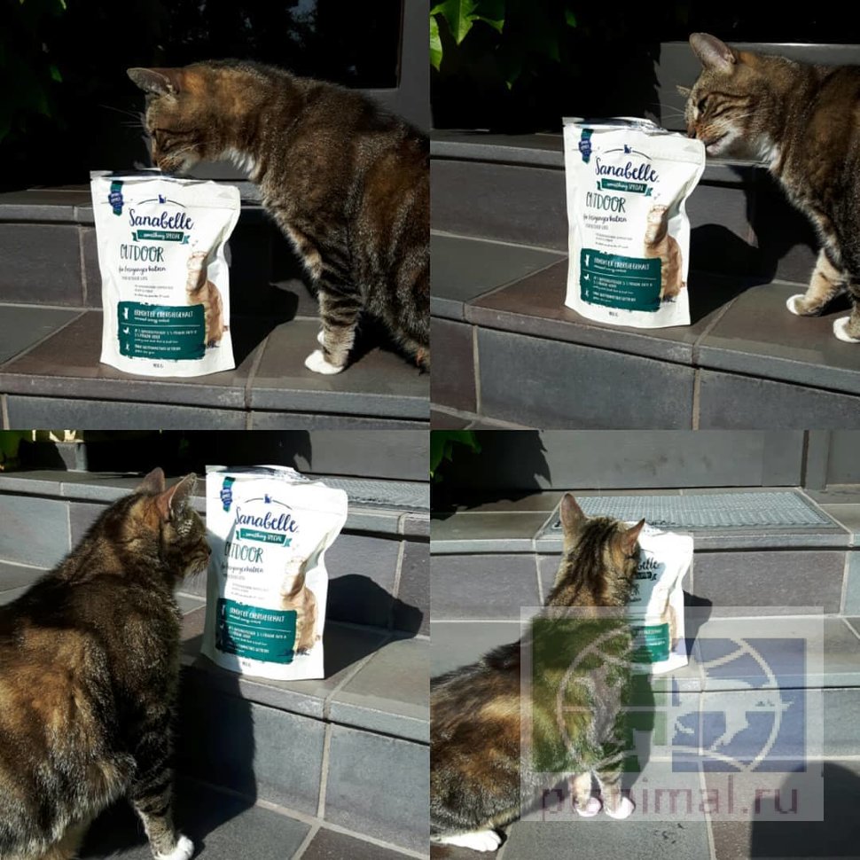 Sanabelle Outdoor сухой корм для кошек 0,4 кг